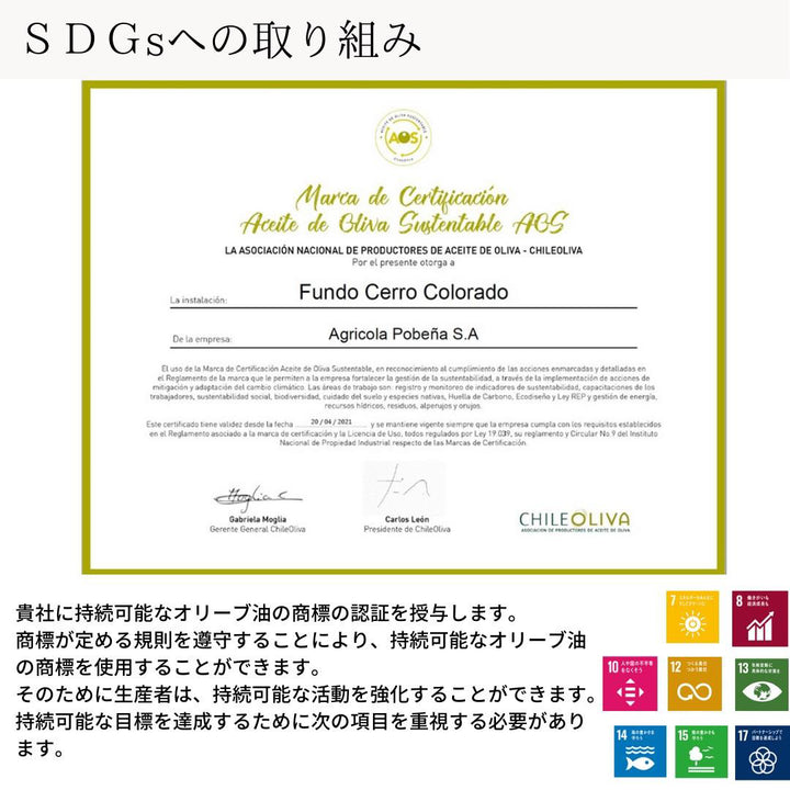 エクストラバージンオリーブオイル ブレンド (1本)ALONSO