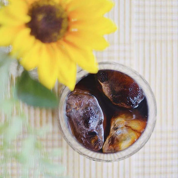 innocent coffee DECAF スペシャルティ コールドブリュー