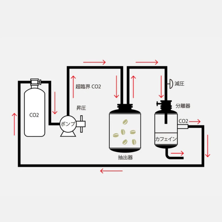 ｍade in JAPAN DECAF Project５：インドネシアクリンチマウンテンマンデリンナチュラル 農薬不使用豆